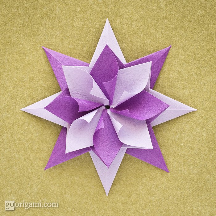 Enrica Dray Origami Star | Go Origami!