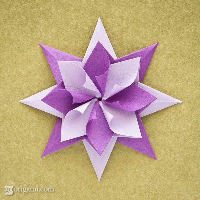 Enrica Dray Origami Star | Go Origami! Enrica Dray Origami Star | Go Origami!