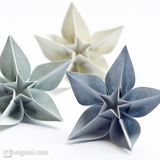 Origami Carambola Flowers by Carmen Sprung