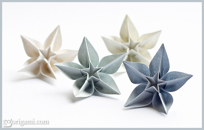 Origami Carambola Flowers by Carmen Sprung