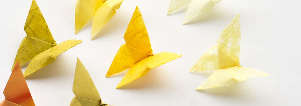 Origami Butterfly