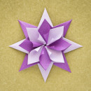 Enrica Dray Origami Star