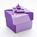 Double-Locked Spiral Square Origami Box
