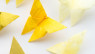 Origami Butterfly