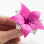Origami Flower Ipomeia Rubra